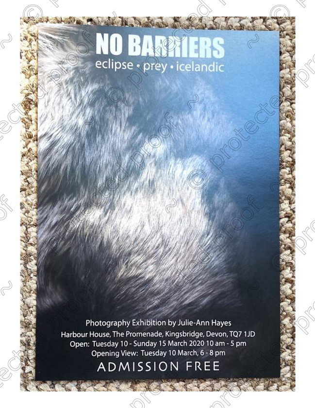 NO-BARRIERS-(2)